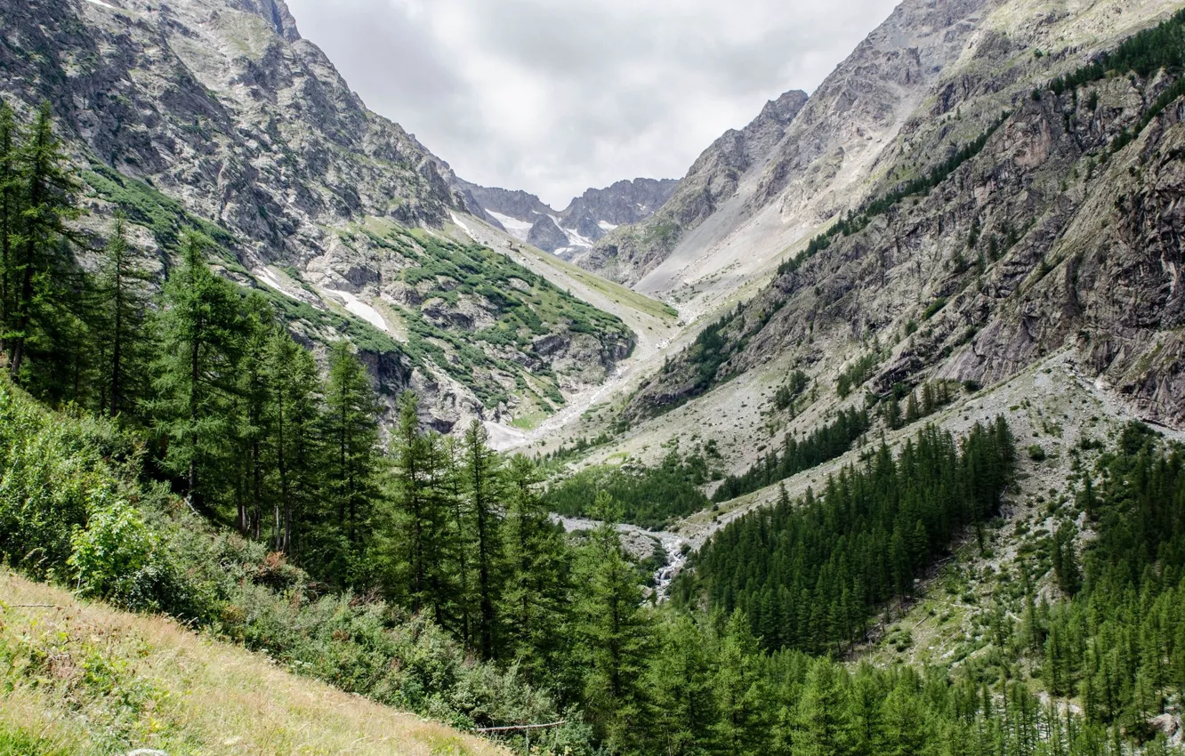 Photo wallpaper trees, mountains, ate