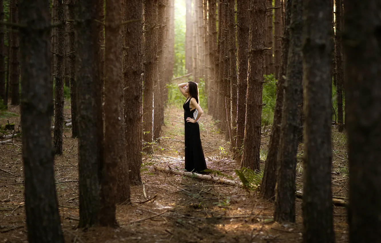 Photo wallpaper forest, girl, trees, alley