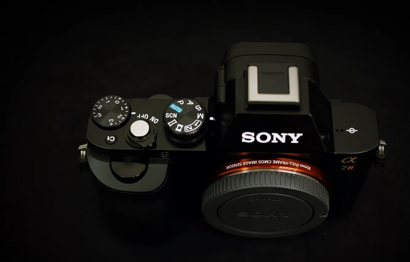 Photo wallpaper macro, background, camera