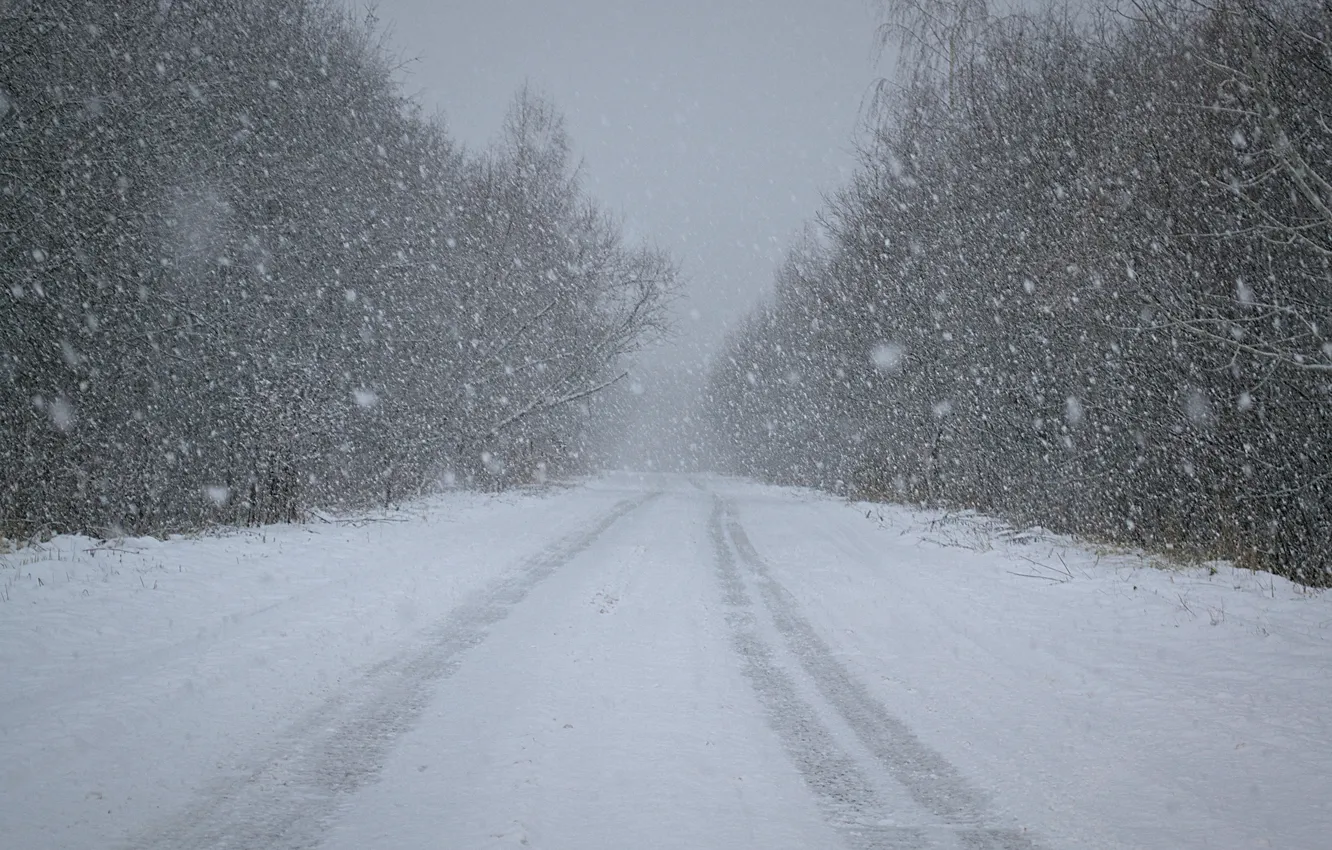 Photo wallpaper winter, road, forest, snow, nature, minimalism, snowfall