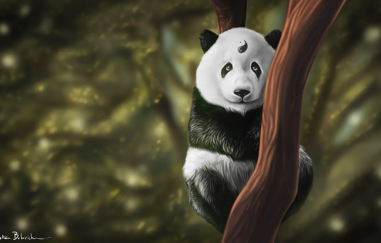 Photo wallpaper Tree, Look, Panda, Art, Yin and Yang, Kung Fu, Animal, Balance