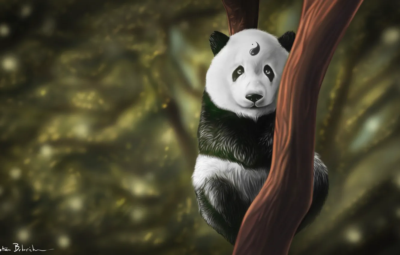 Photo wallpaper look, trees, animal, art, Panda, Yin and Yang, kung fu, balance