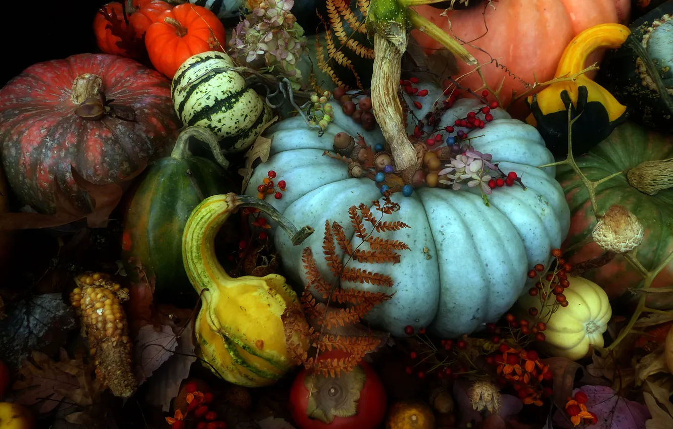 Photo wallpaper autumn, leaves, berries, harvest, pumpkin