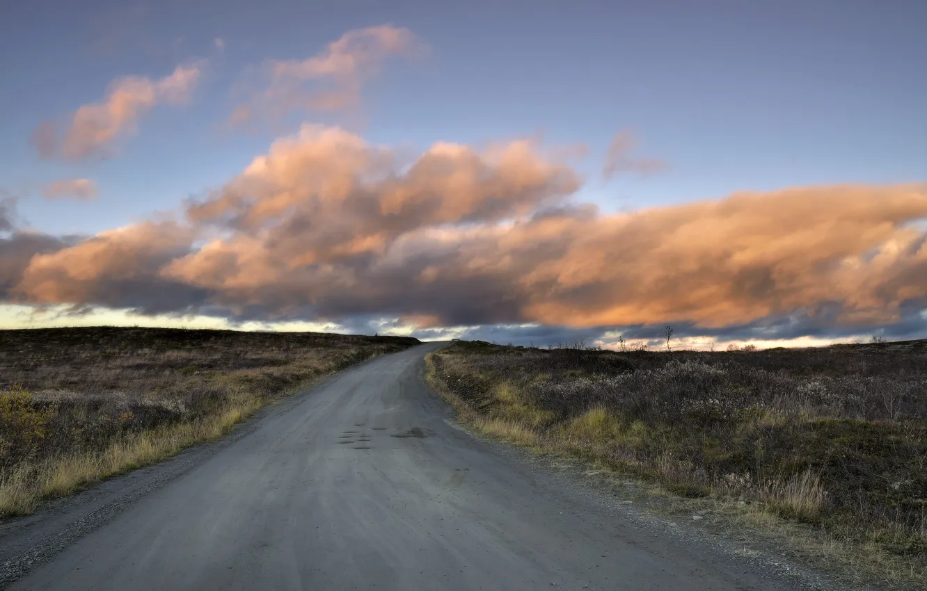 Photo wallpaper road, field, morning