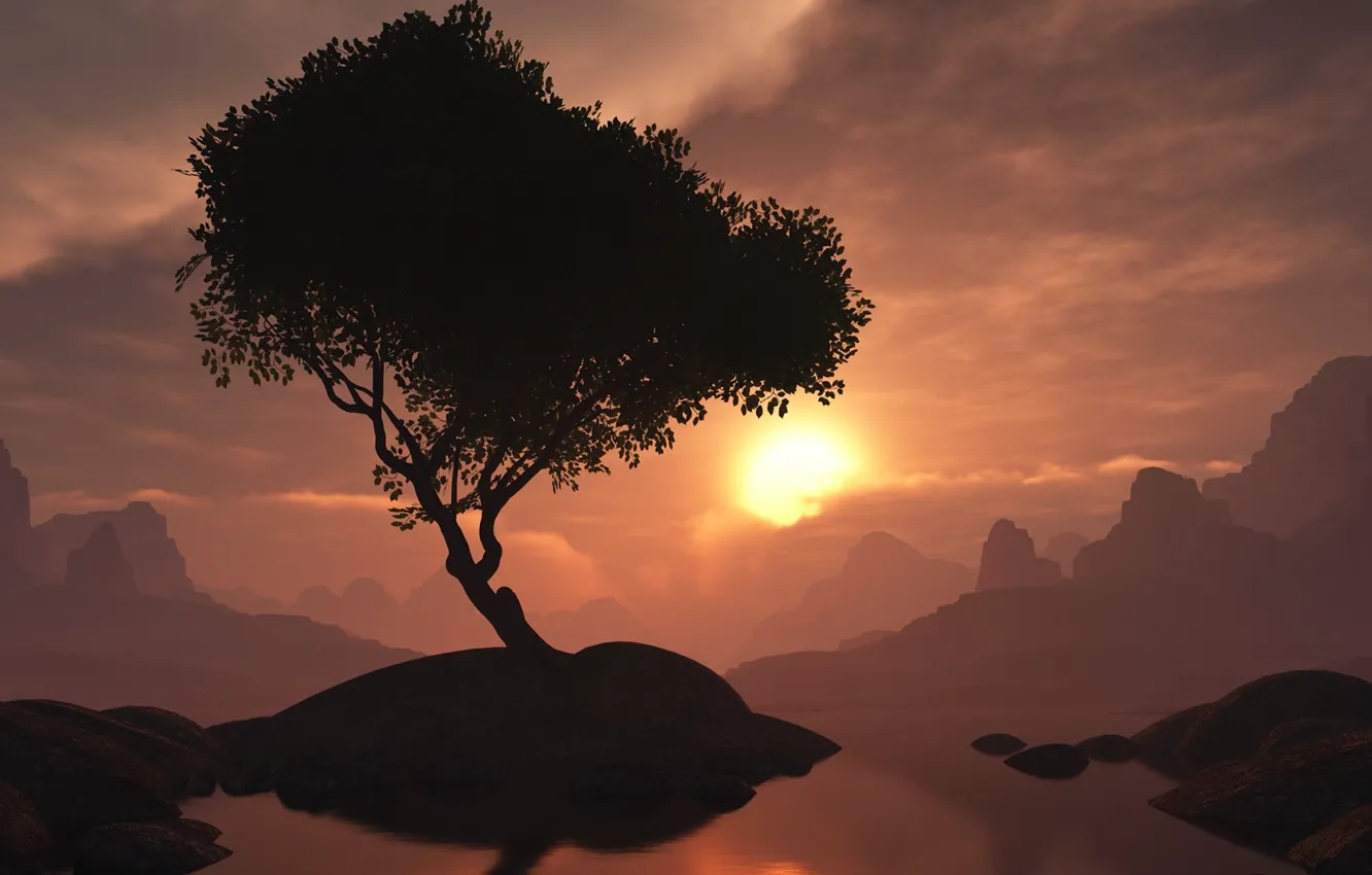 Photo wallpaper trees, sunset, the evening, island