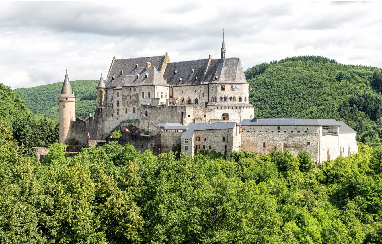 Photo wallpaper forest, castle, Luxembourg, Vianden, Luxembourg, Diekirch, Vianden, Vianden Castle