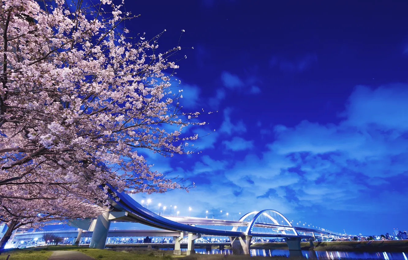 Photo wallpaper bridge, river, tree, Japan, lights