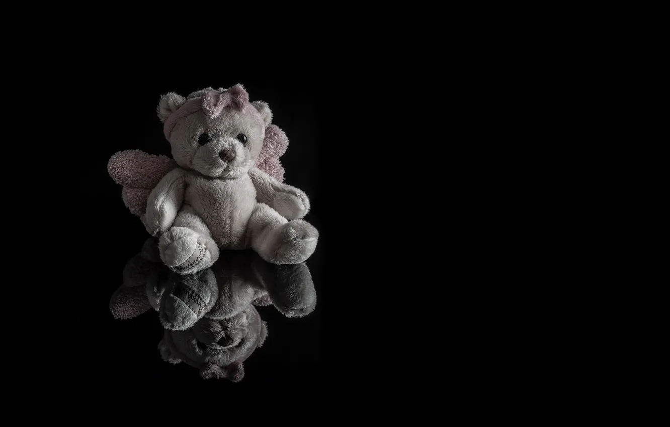 Photo wallpaper reflection, toy, alone bear