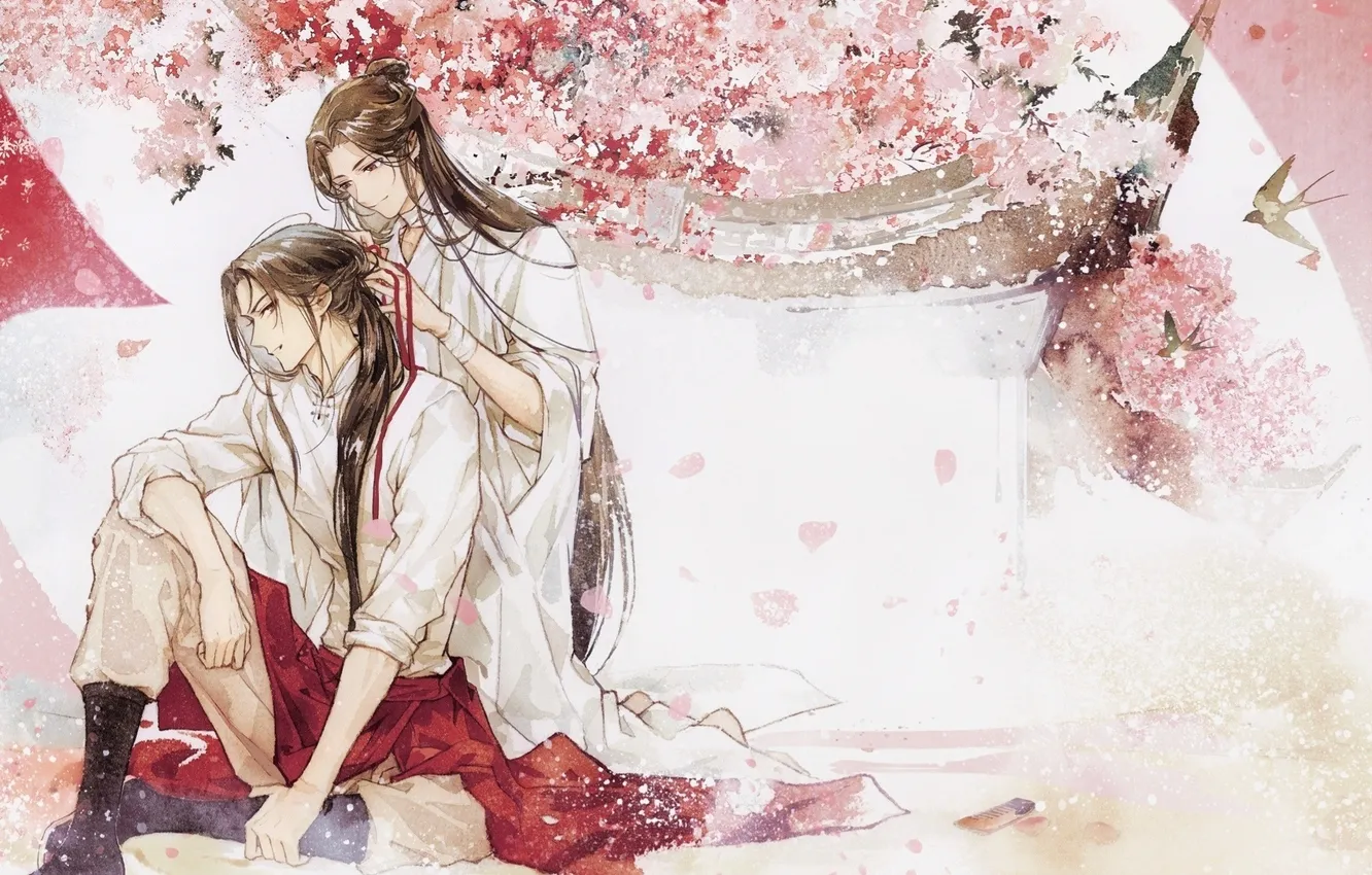 Photo wallpaper The Blessing of the Celestials, Xie Lian, Hua Cheng