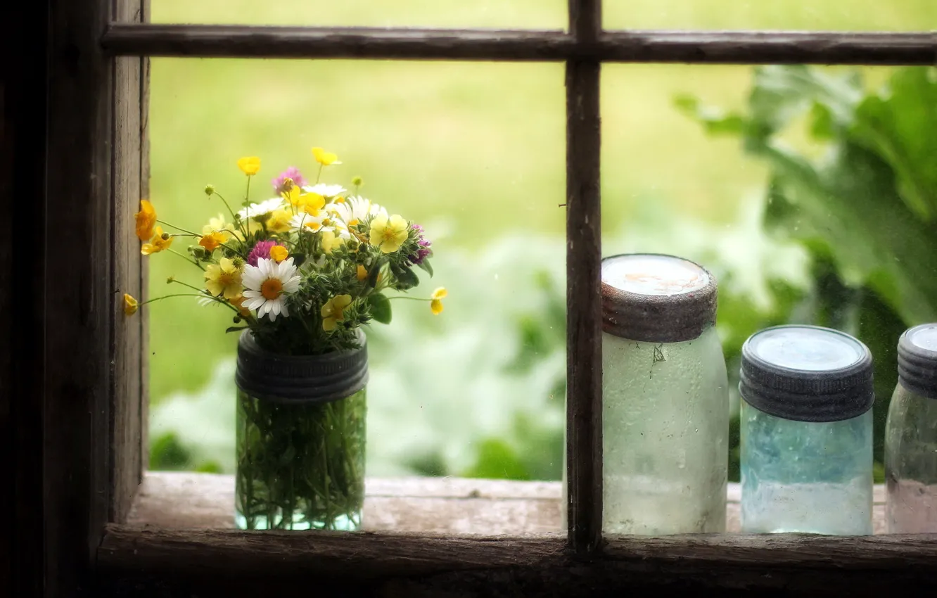 Photo wallpaper flowers, window, banks