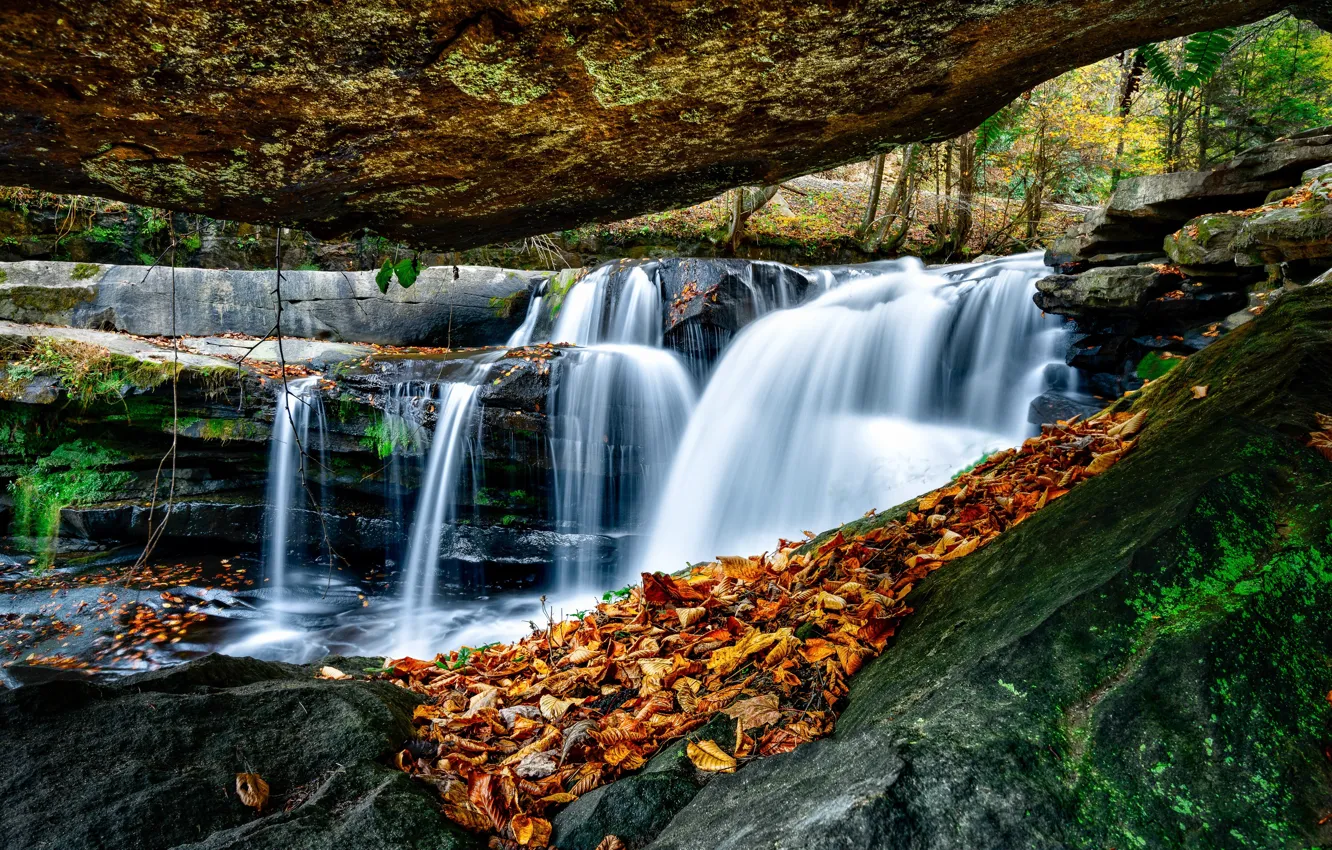 Photo wallpaper autumn, river, waterfall, West Virginia, cascade, fallen leaves, West Virginia, Dunlope Creek