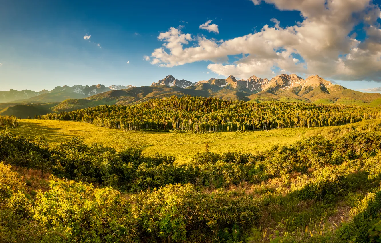 Photo wallpaper field, forest, clouds, light, trees, mountains, blue, vegetation