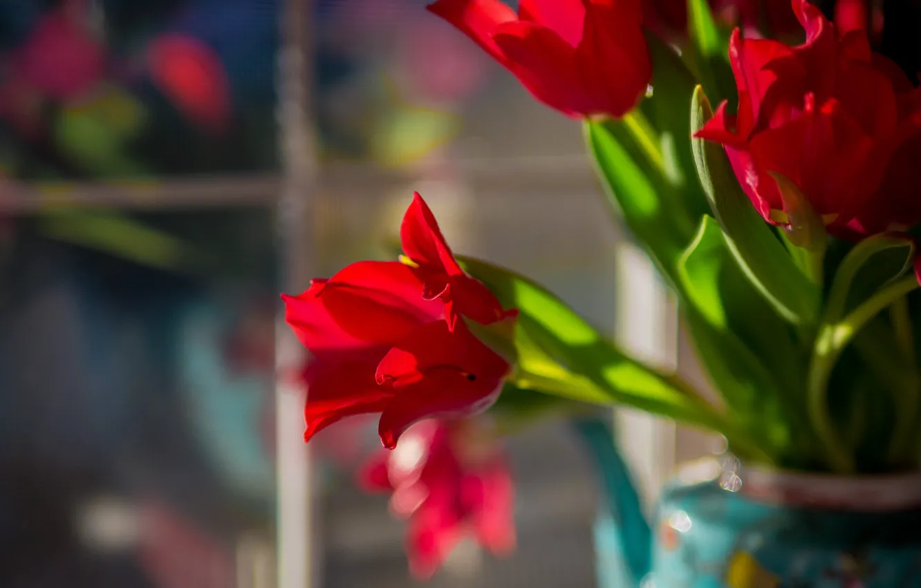 Photo wallpaper bouquet, tulips, bokeh, red tulips