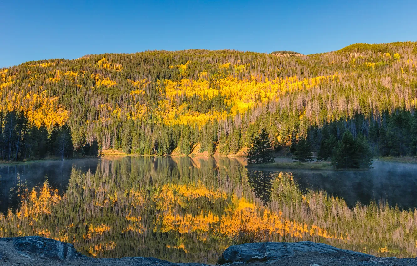 Photo wallpaper autumn, forest, light, lake, reflection, blue, shadow, the colors of autumn