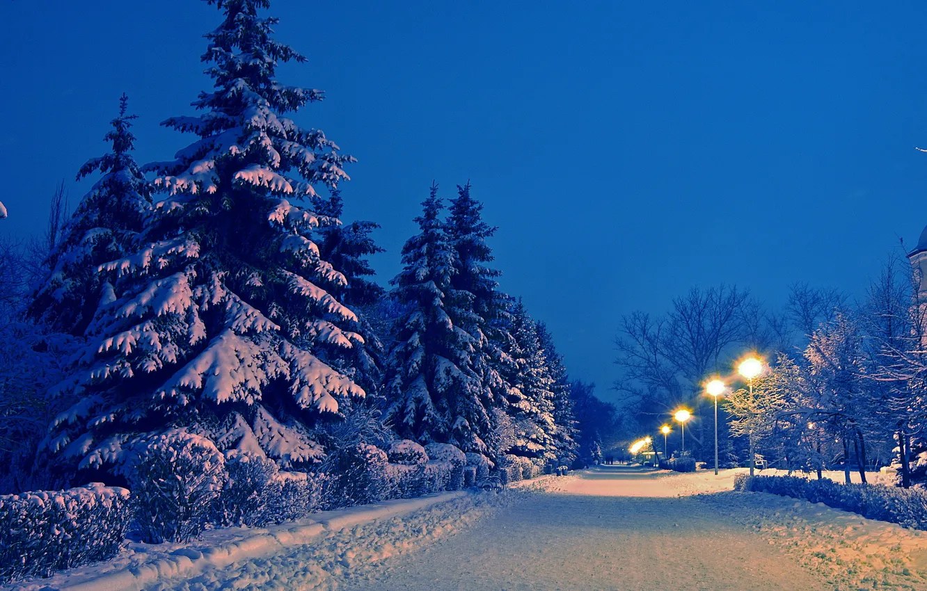 Photo wallpaper winter, road, snow, landscape, Park, the evening, ate, lights