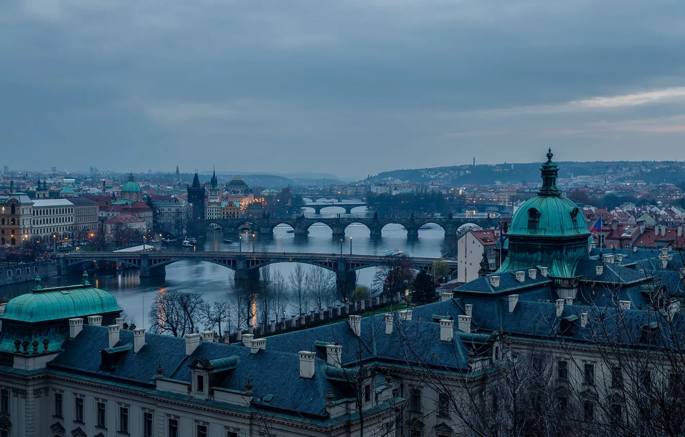 Photo wallpaper roof, the sky, clouds, trees, branches, bridge, the city, fog