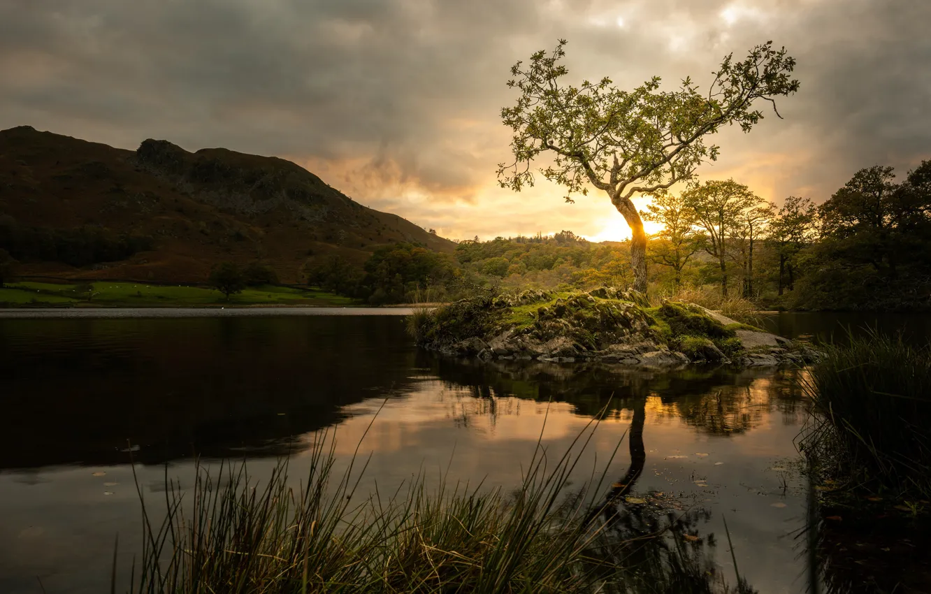 Wallpaper sunset, mountains, reflection, tree, shore, pond for mobile ...