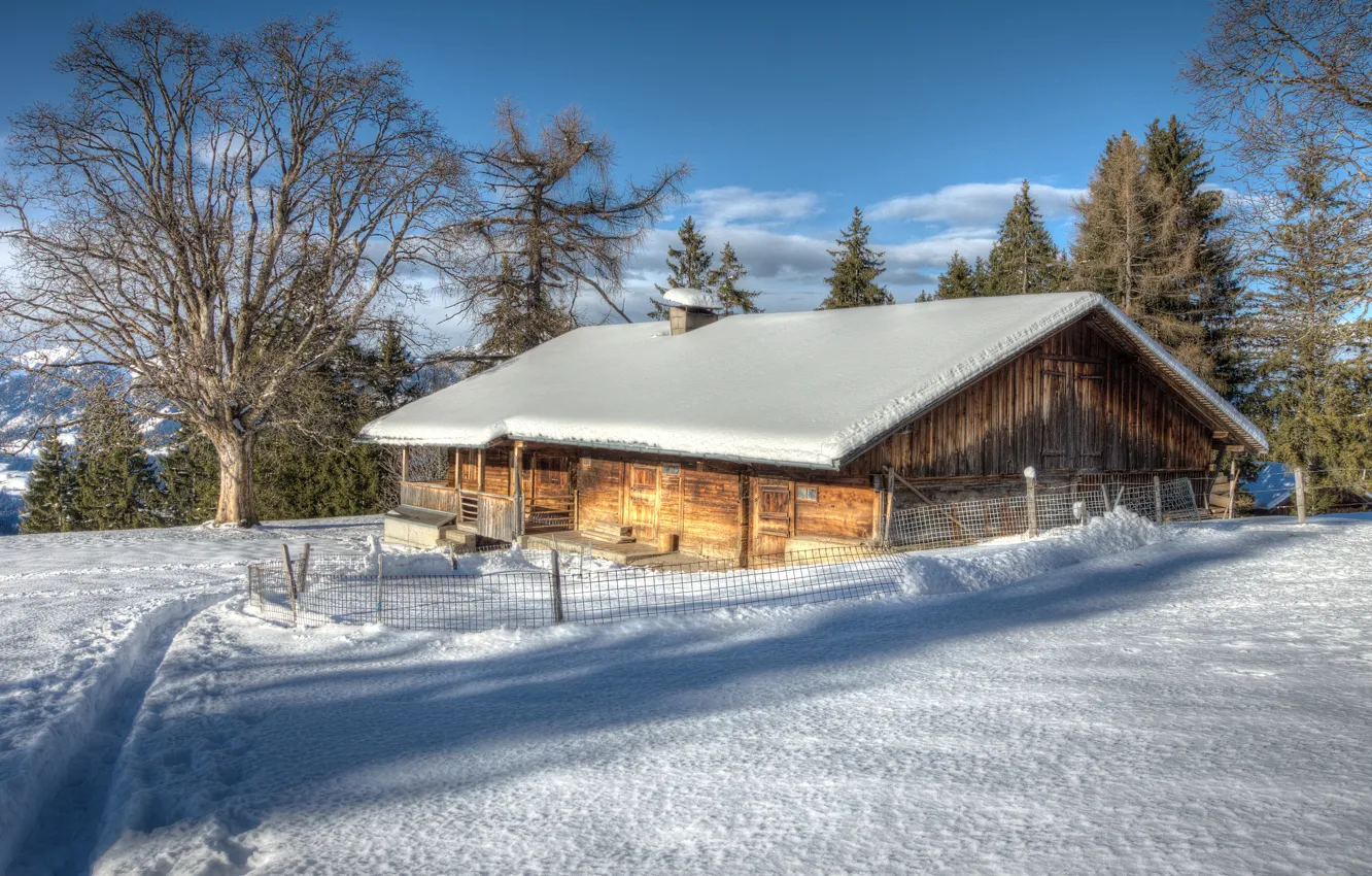 Photo wallpaper winter, frost, roof, forest, the sky, clouds, light, snow