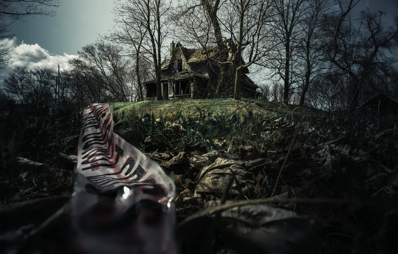 Photo wallpaper nature, the darkness, home