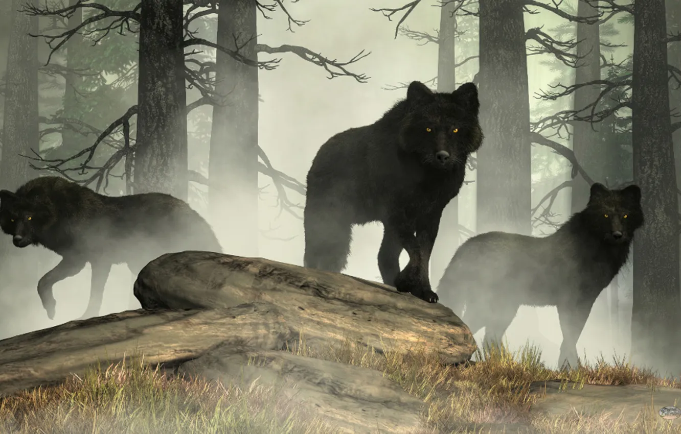 Photo wallpaper nature, snow, predator, face, animal, wolf, wildlife, portrait
