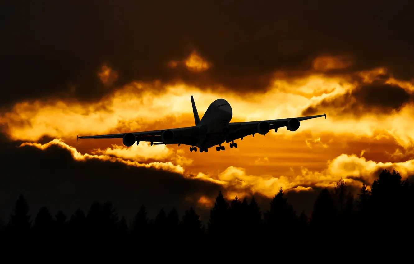 Photo wallpaper Sunset, The sky, Clouds, The plane, Trees, Liner, Flight, Clouds