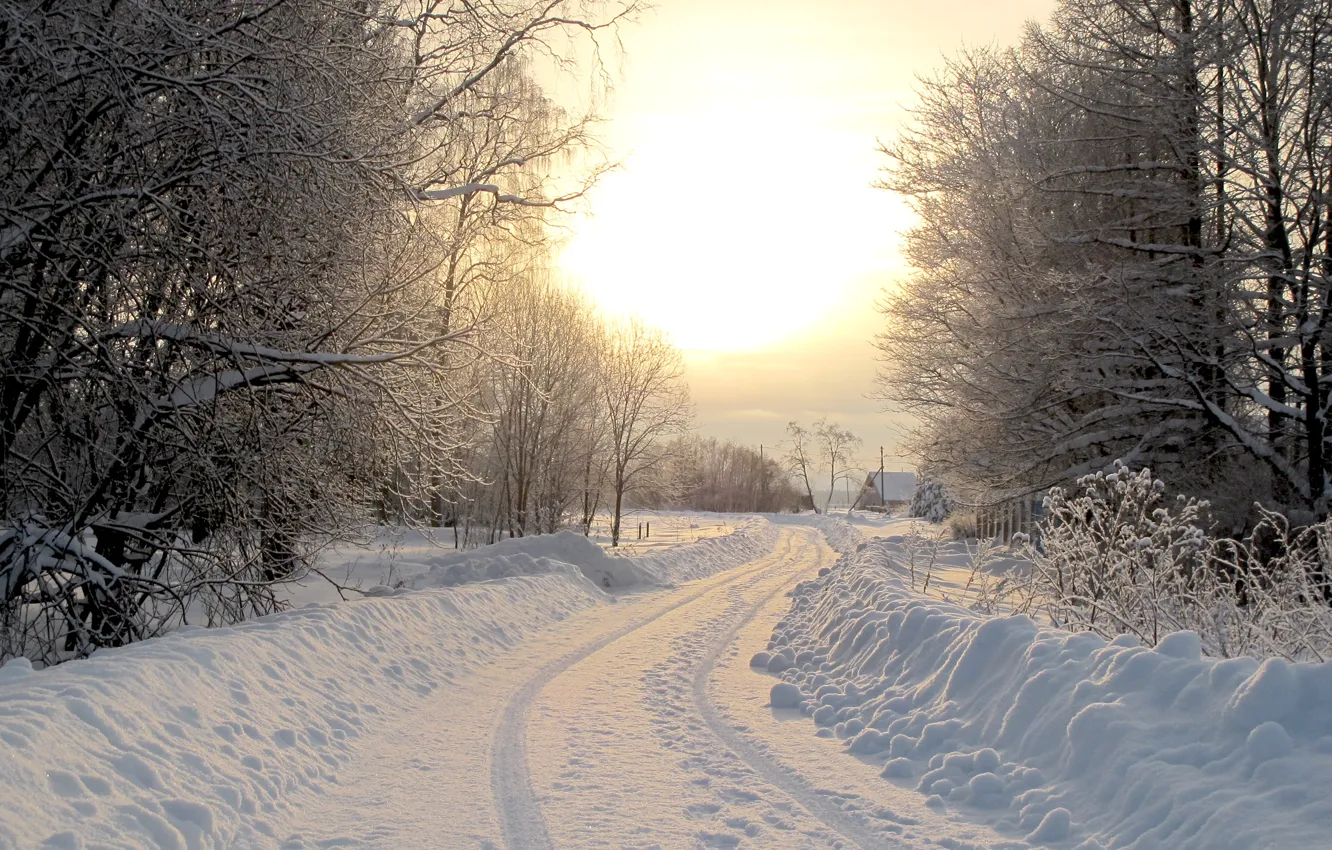Photo wallpaper winter, road, snow, trees, nature, tree, landscapes, road