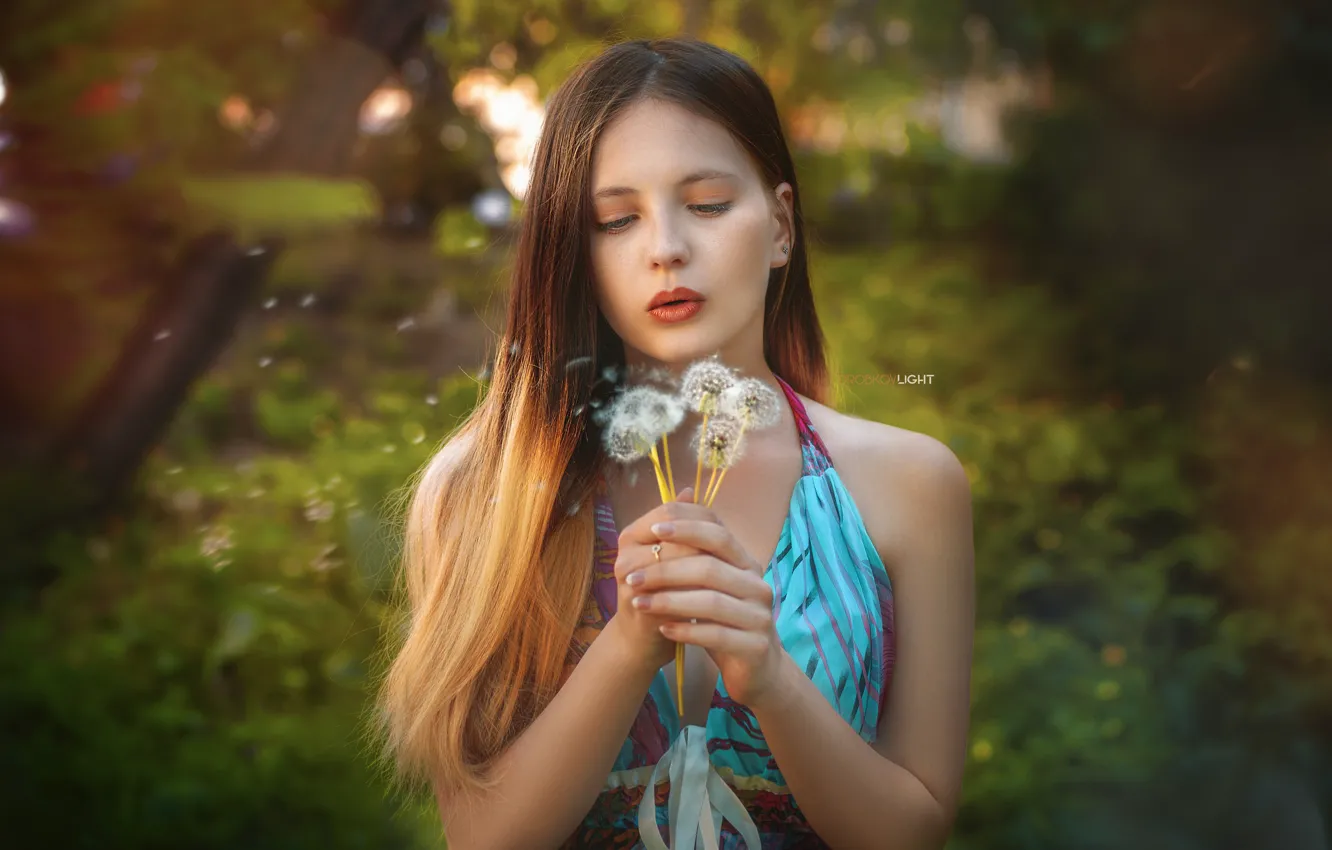 Photo wallpaper girl, mood, dandelion, bokeh, Alexander Drobkov-Light, Eva Lapenko