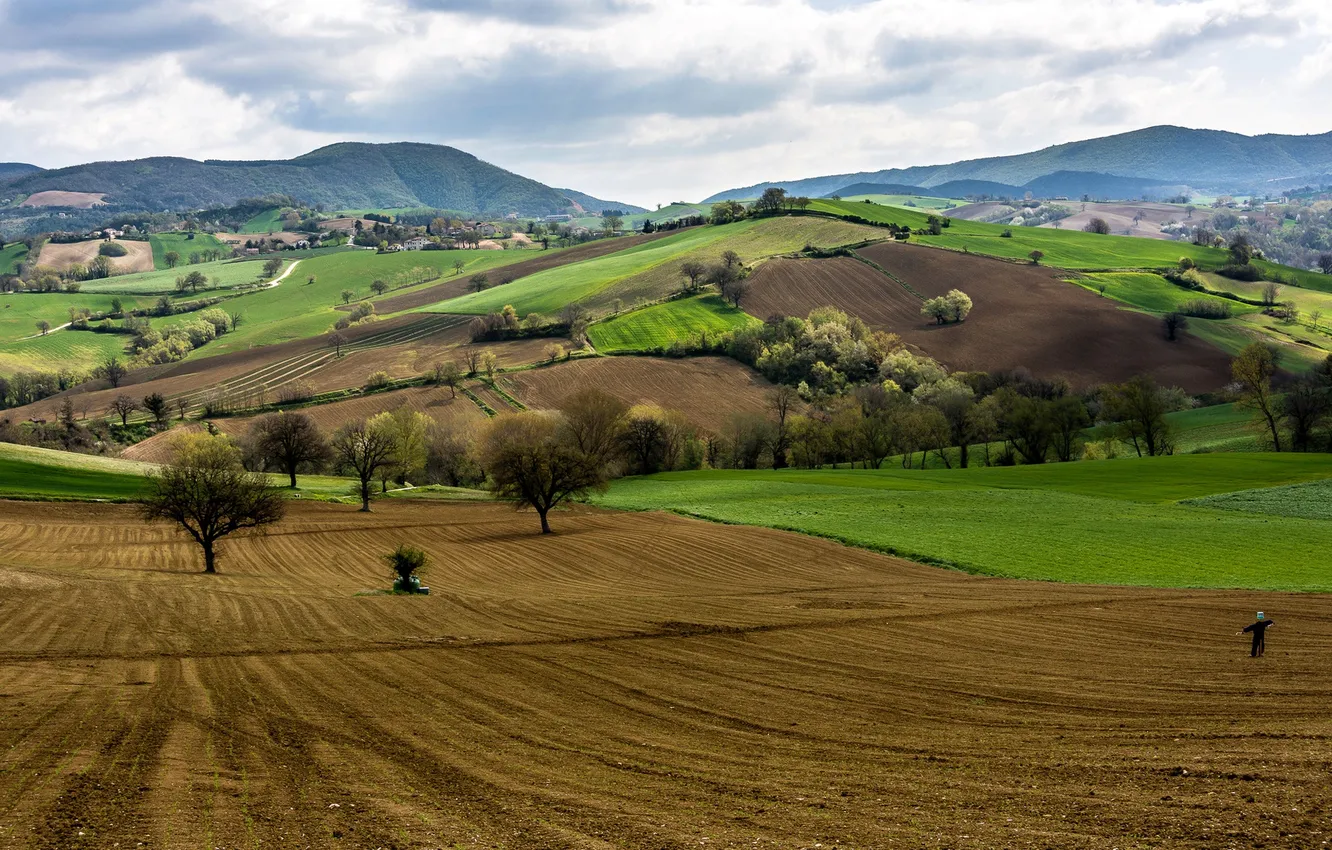 Photo wallpaper field, trees, mountains, hills, Italy, Scarecrow, Campagna