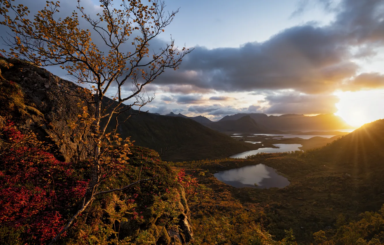 Photo wallpaper the sun, trees, mountains