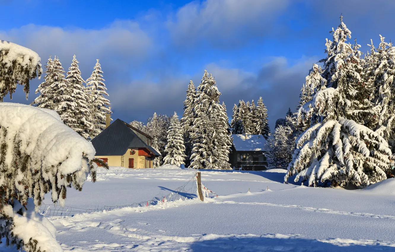 Photo wallpaper winter, snow, trees, landscape, nature, France, home, ate