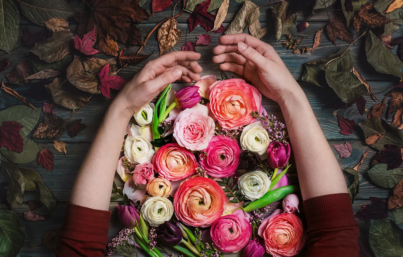 Photo wallpaper autumn, leaves, style, hands, tulips, composition, Ranunculus