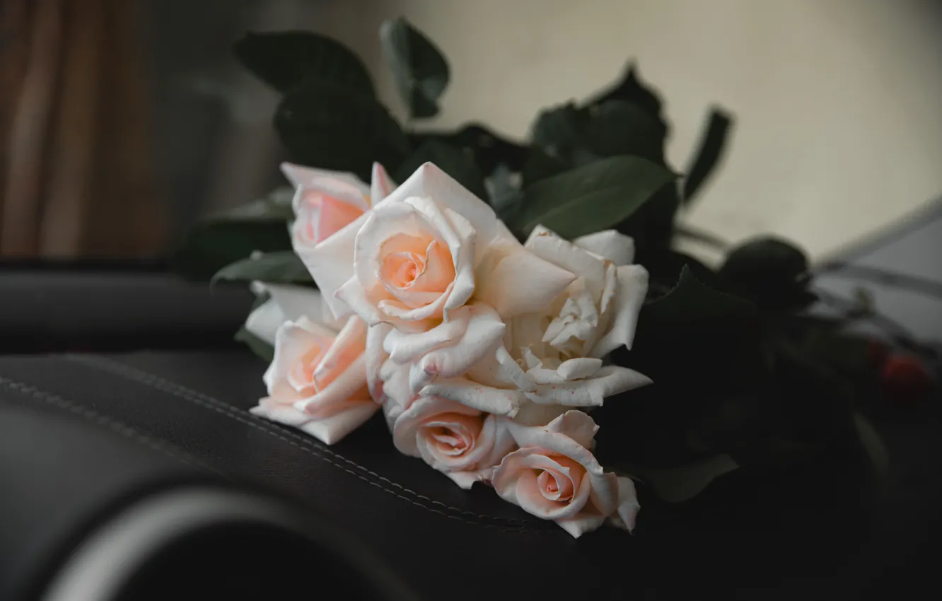 Photo wallpaper the dark background, roses, bouquet, pink, the room, bokeh, pale pink