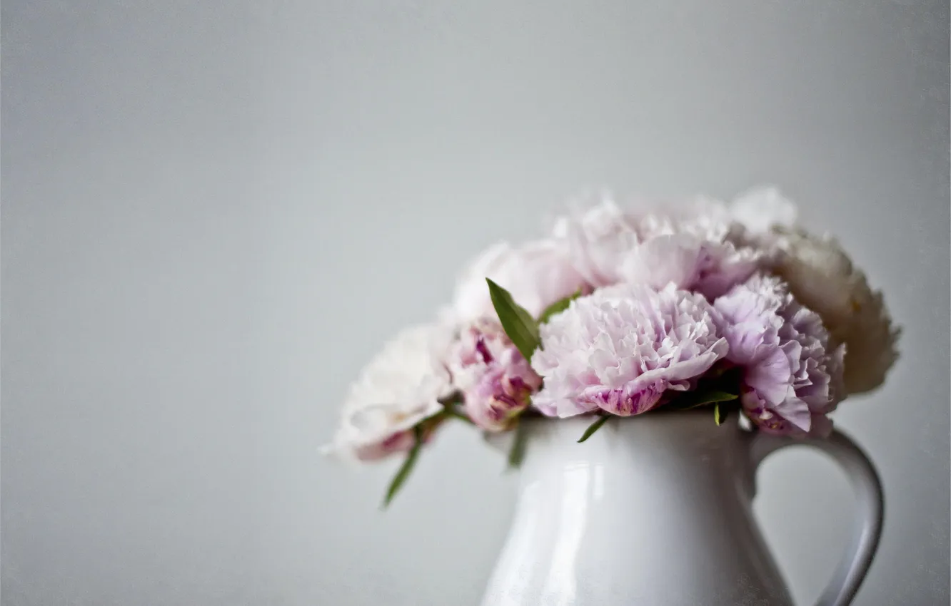 Photo wallpaper flowers, vase, pink, pitcher, peonies