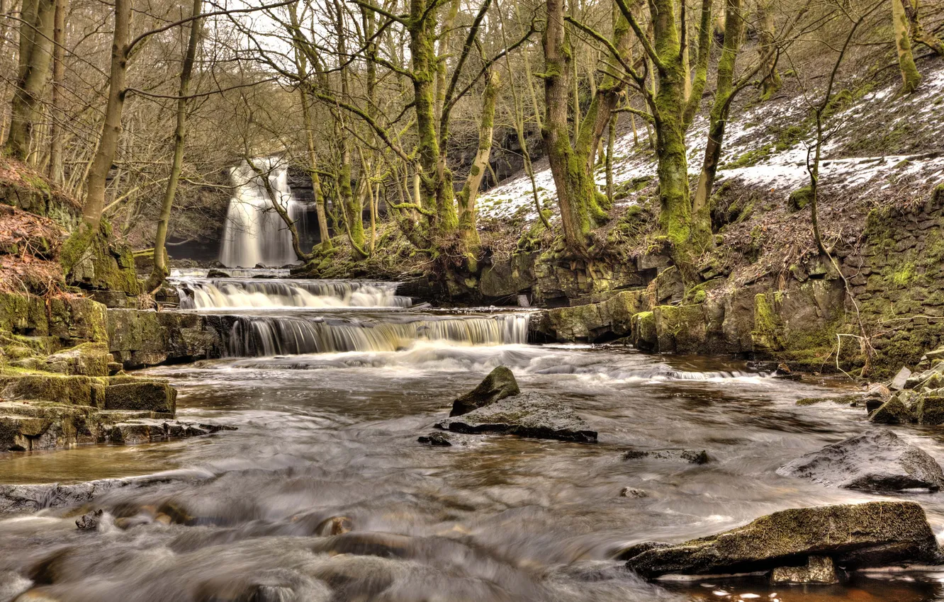 Photo wallpaper winter, forest, river, stones, waterfall, cascade
