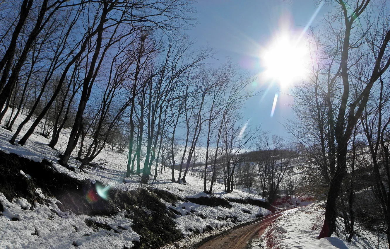 Photo wallpaper winter, road, the sky, the sun, rays, snow, trees, glare