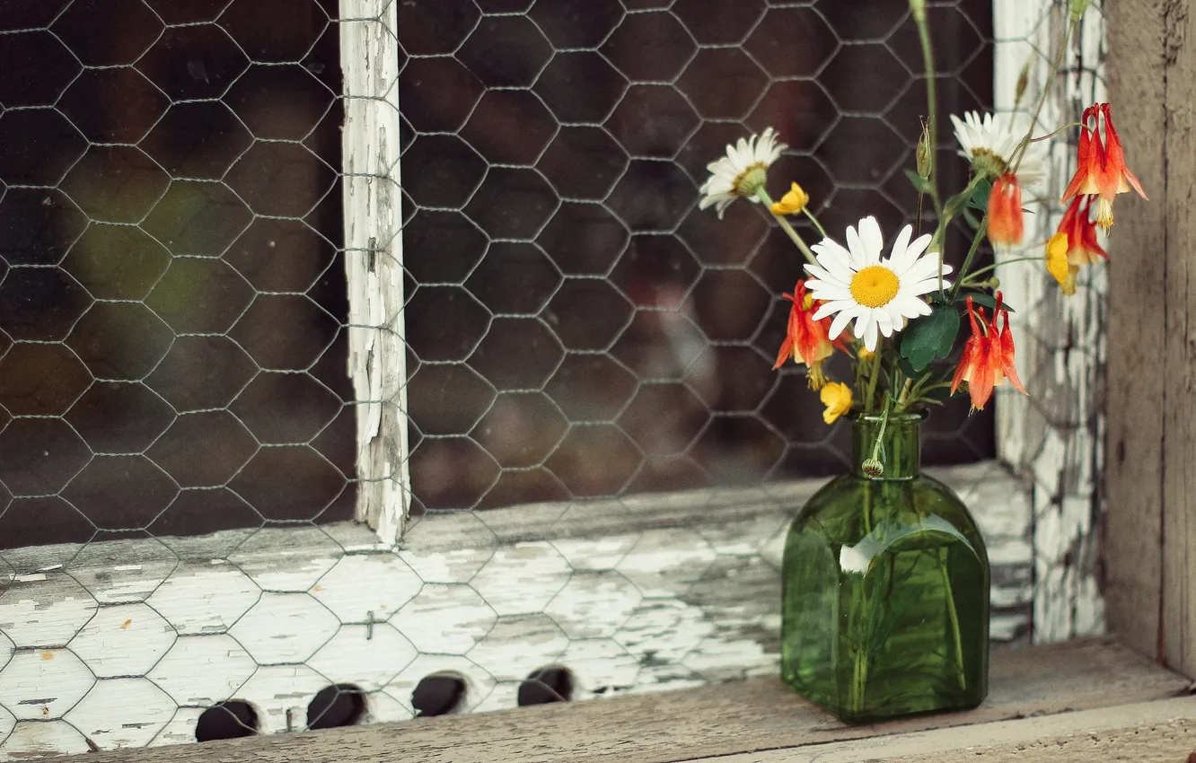 Photo wallpaper bubbles, chamomile, window, a bunch, wildflowers
