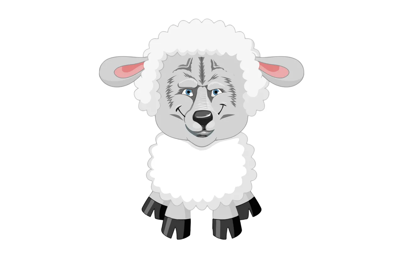 Photo wallpaper wolf, white background, joke, sheep