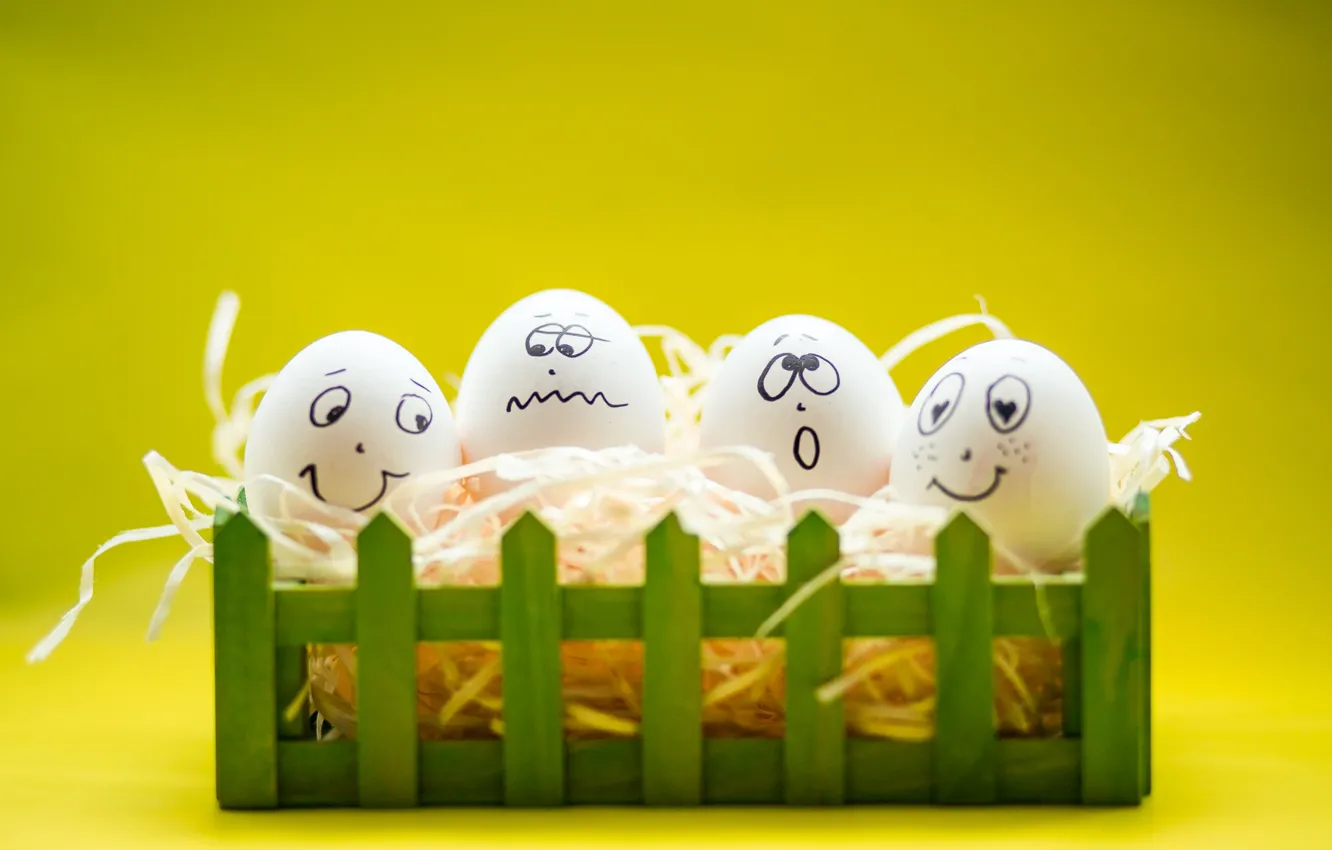 Photo wallpaper eggs, smile, Easter, smile, spring, Easter, eggs, funny