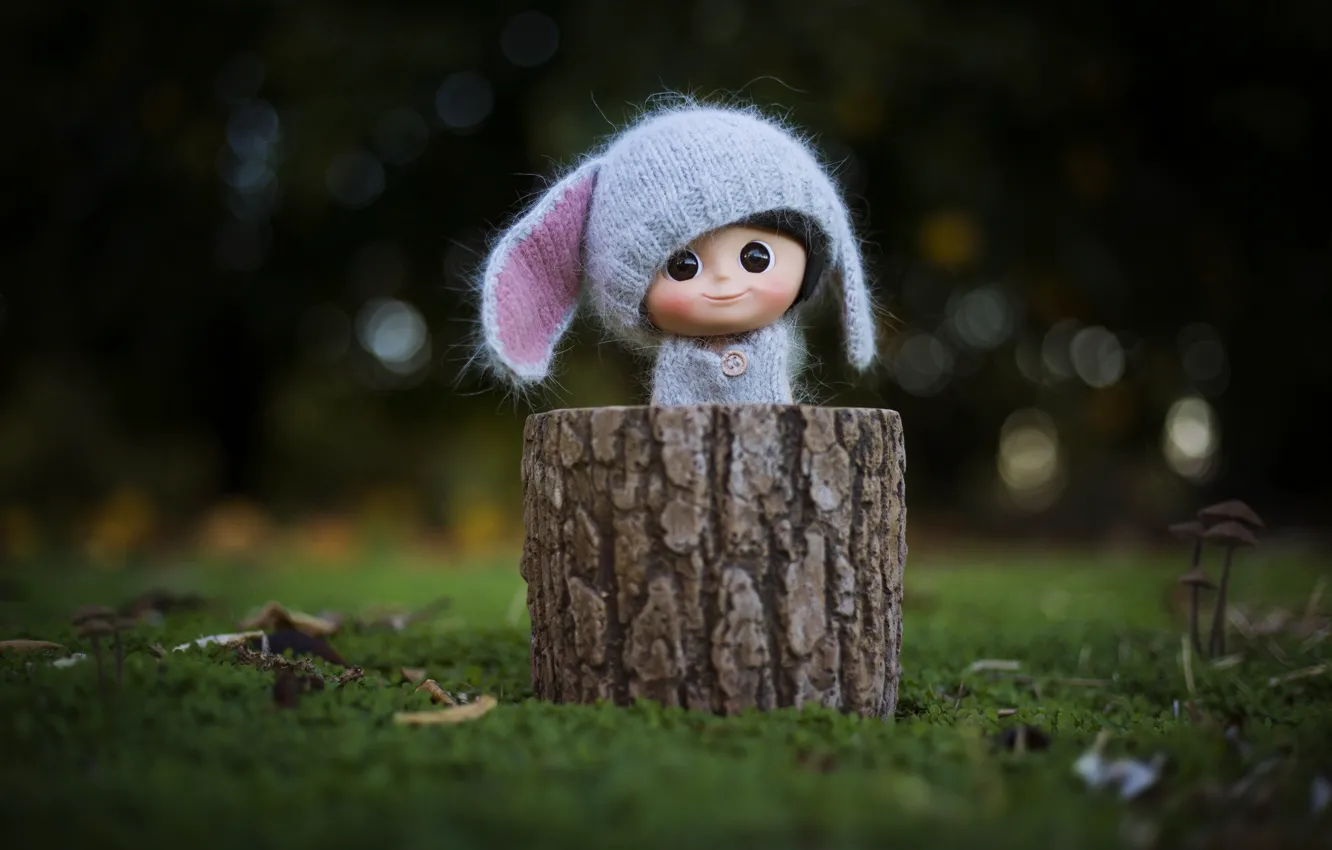 Photo wallpaper hat, toy, stump, doll