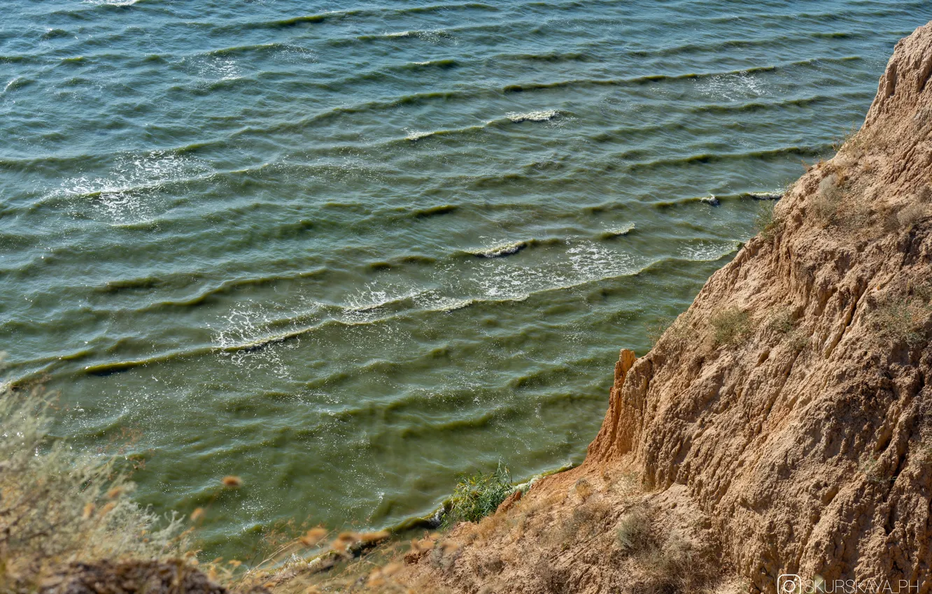 Photo wallpaper sea, grass, mountains, Kherson