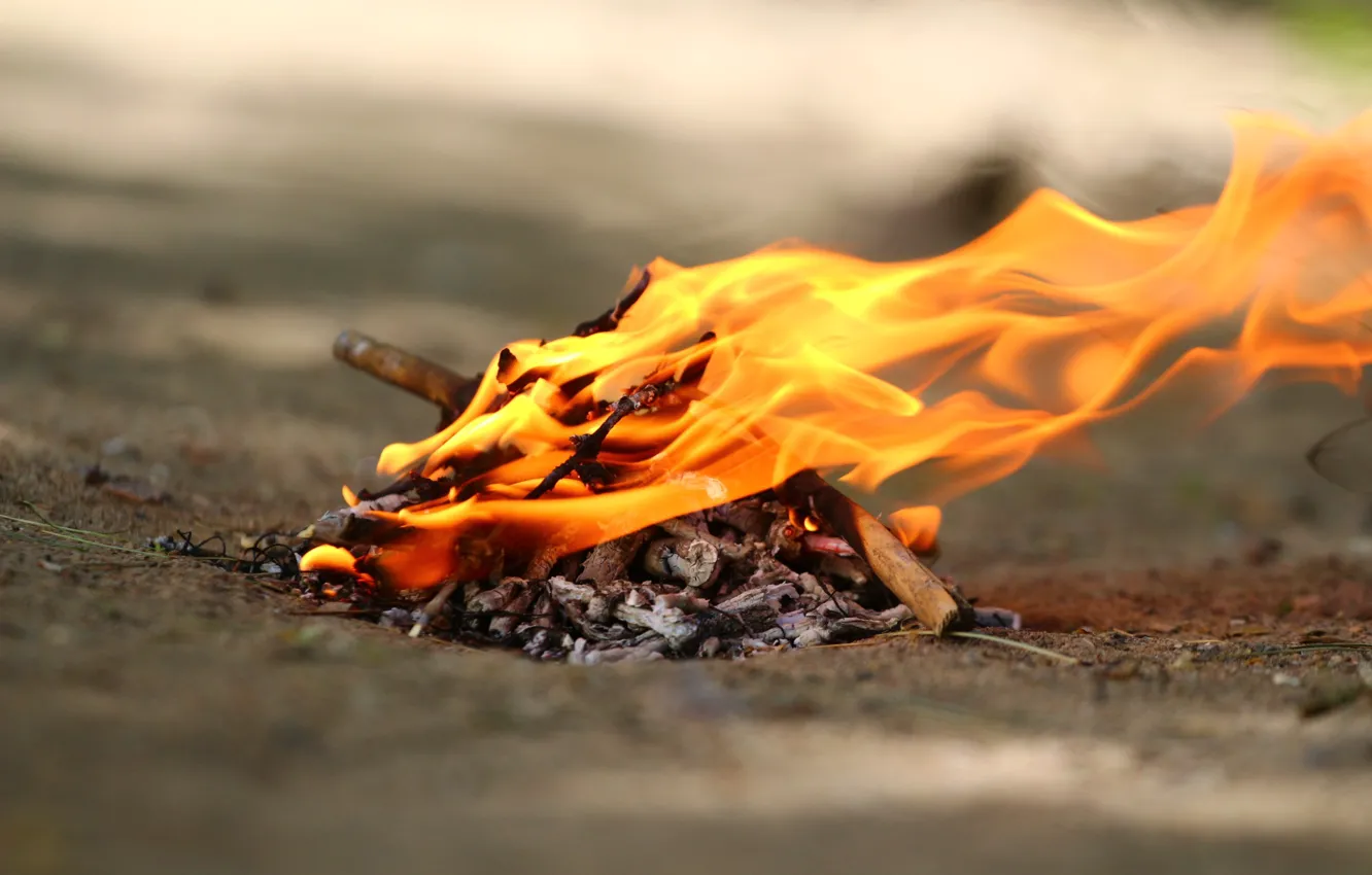 Photo wallpaper lights, flame, coal