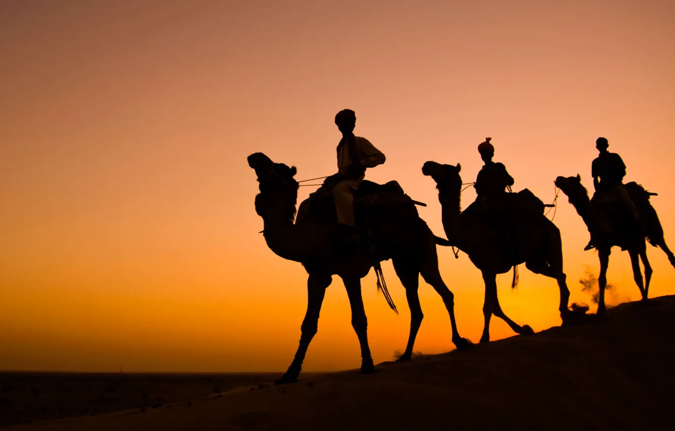 Photo wallpaper India, silhouette, camel, caravan, Rajasthan, Thar desert
