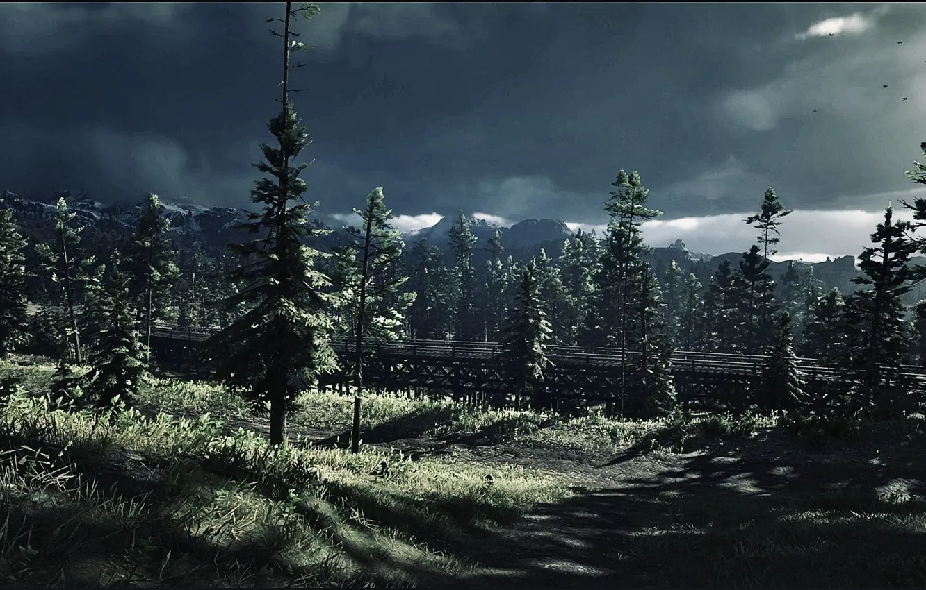 Photo wallpaper HDR, sunshine, game, storm, rain, trees, bridge, wood