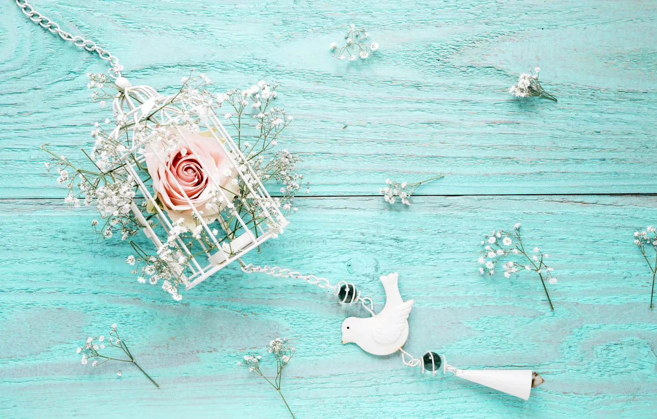 Photo wallpaper flowers, background, roses, pink, white, wood, blue, pink