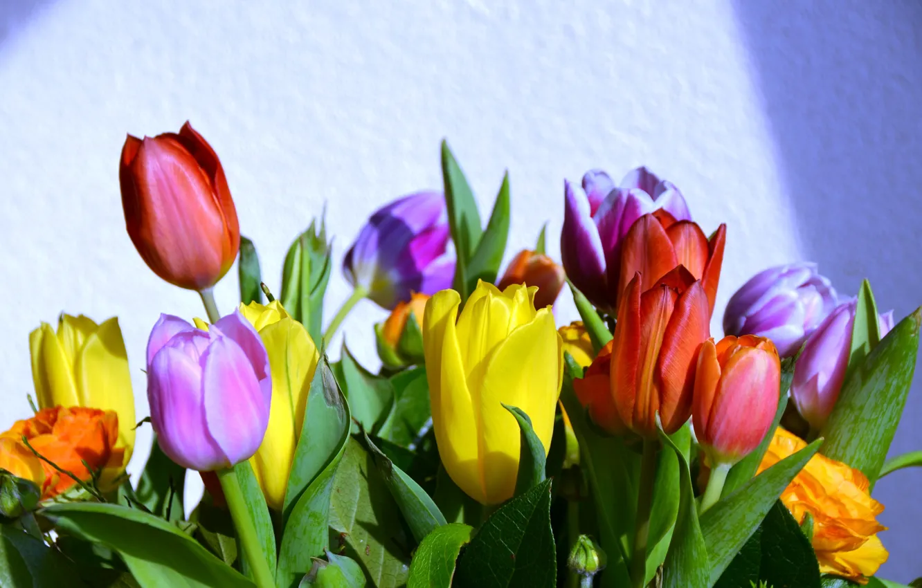 Photo wallpaper leaves, light, flowers, wall, bouquet, spring, yellow, tulips