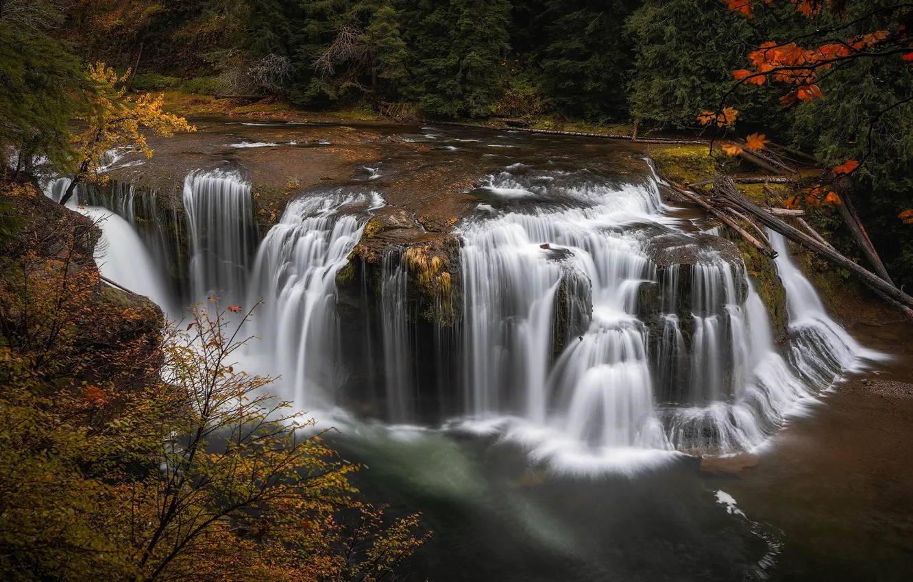 Photo wallpaper autumn, river, waterfall, cascade, Lower Lewis River Falls, Lewis River, Gifford Pinchot National Forest, Washington …