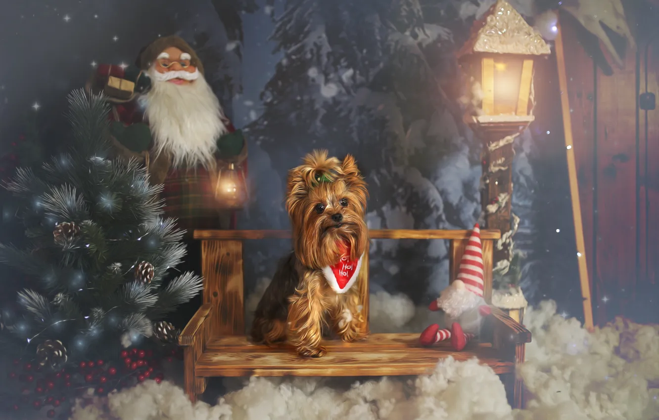 Photo wallpaper look, light, snow, bench, holiday, toy, dog, doll