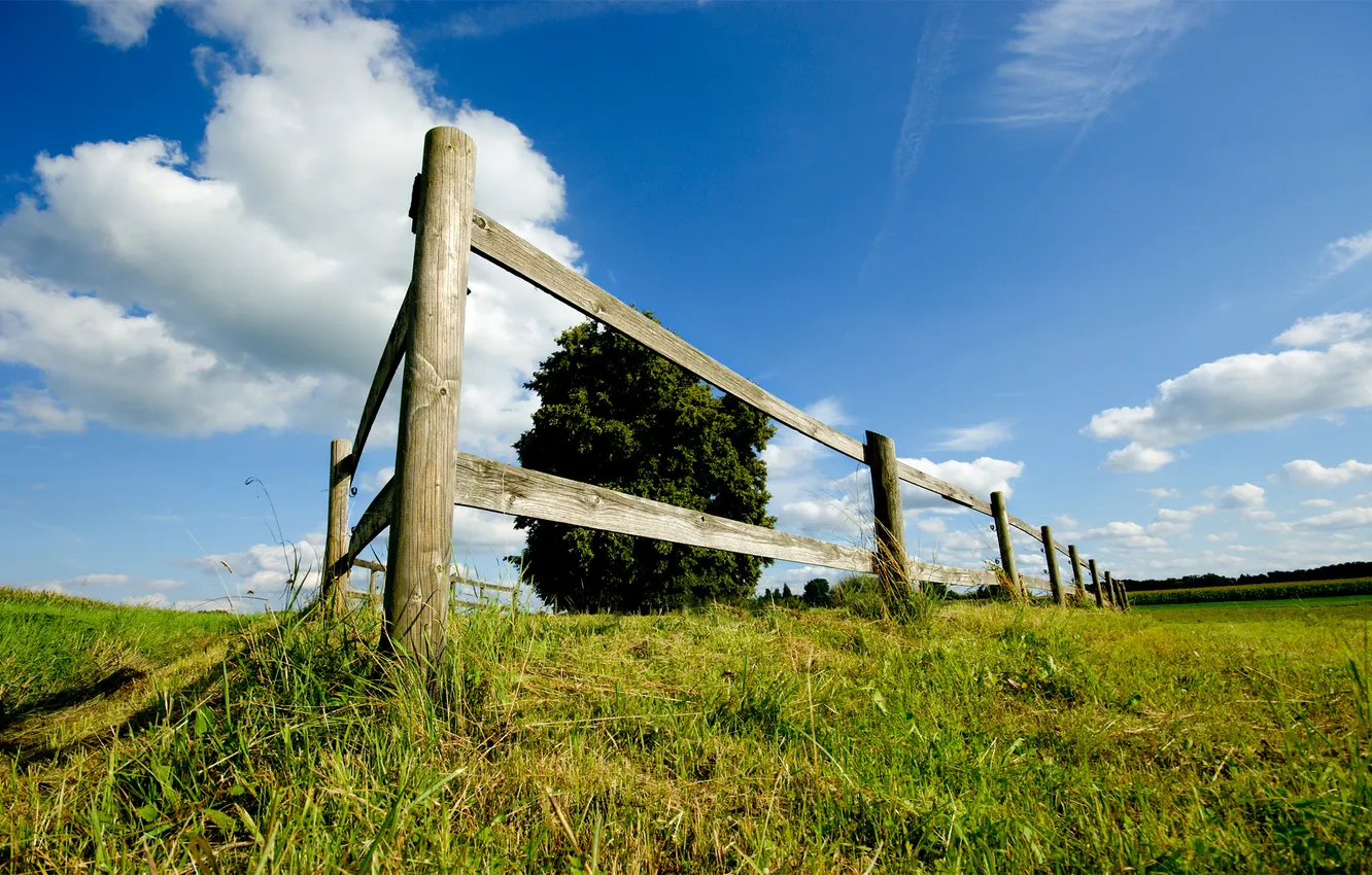 Photo wallpaper field, the sky, grass, Wallpaper, landscapes, the fence, meadow