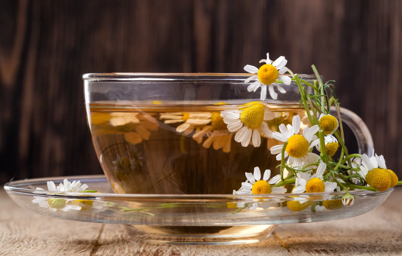 Photo wallpaper tea, Daisy, flowers