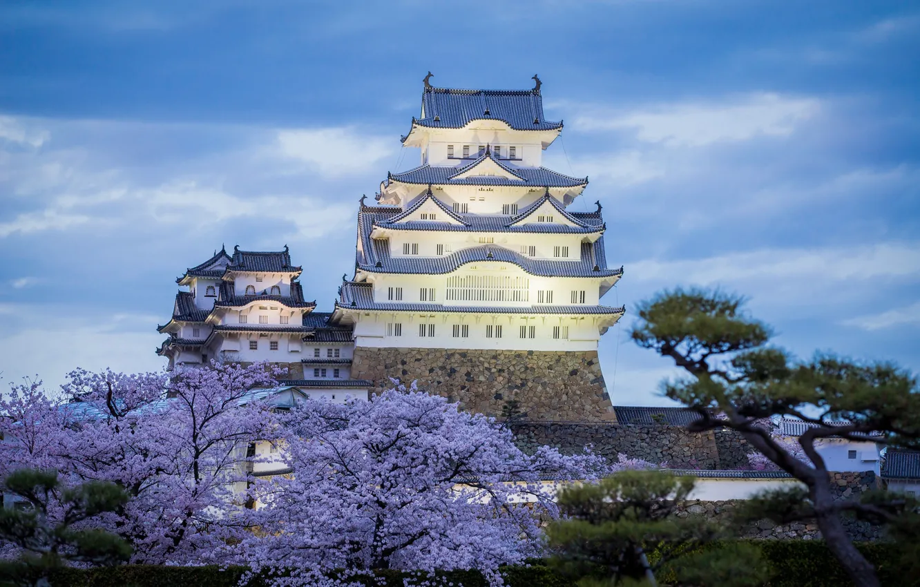 Photo wallpaper castle, spring, the evening, Japan, Himeji